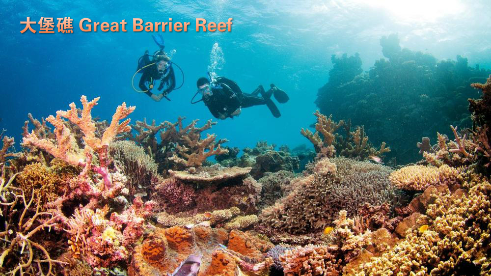 Great Reef.jpg